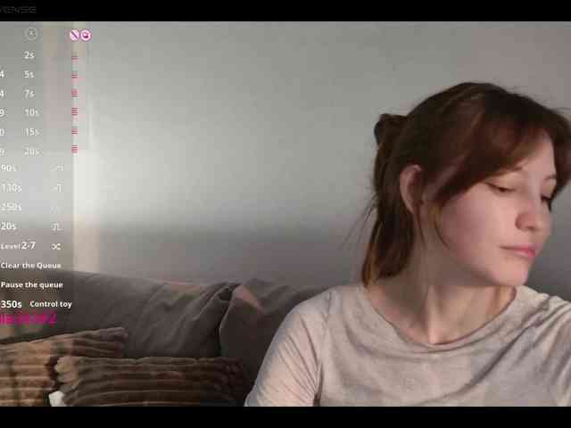 INsight webcam