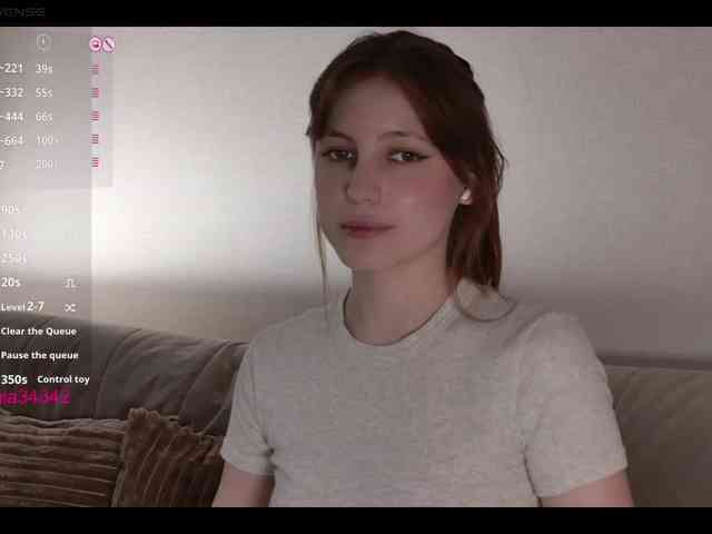 INsight webcam