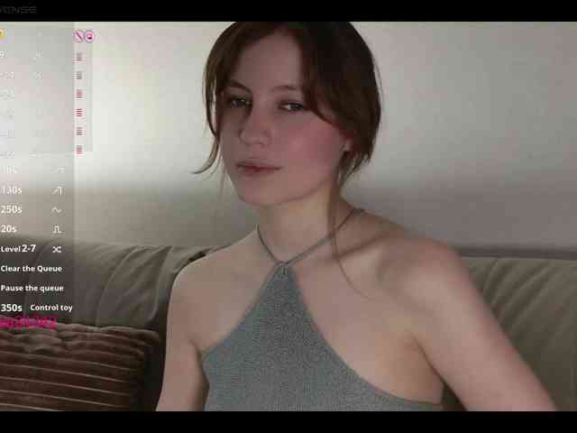 INsight webcam