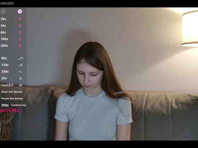 INsight webcam