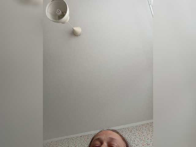 Preview of veneranorth