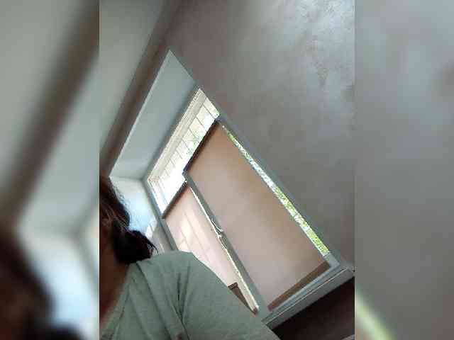 VeneraNorth webcam