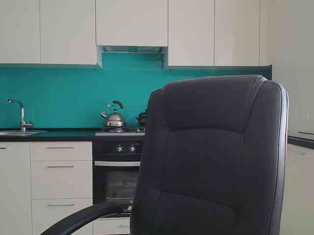 Valerianice webcam
