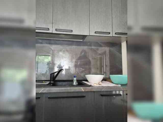FoxxyAna webcam