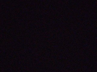 ZoeCamils Porn Show
