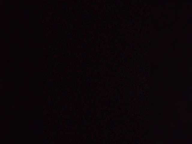 ZoeCamils