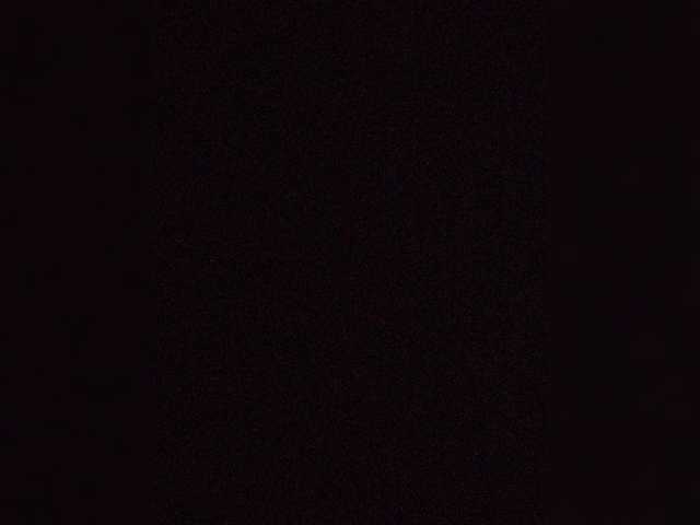 ZoeCamils