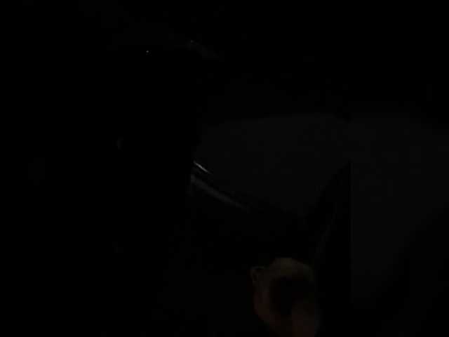 ZoeCamils live cam on BongaCams