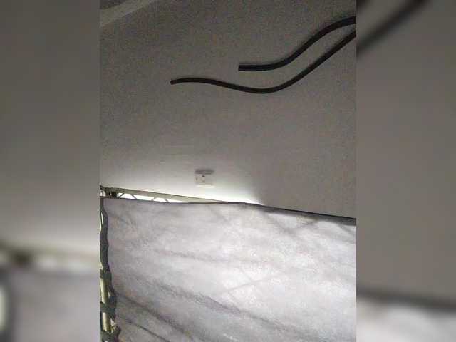 ZoeCamils