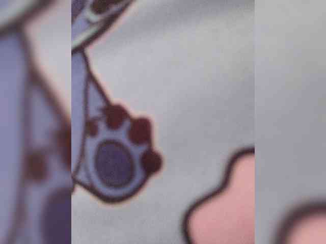 ZoeCamils