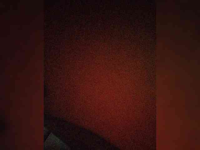 ZoeCamils webcam