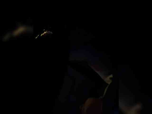 ZoeCamils webcam