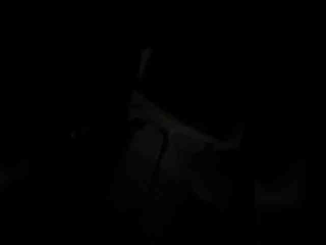ZoeCamils webcam
