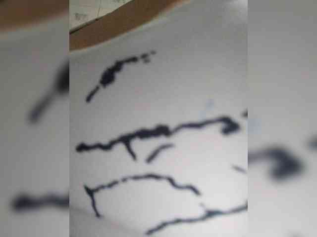 ZoeCamils webcam