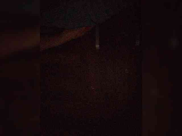 ZoeCamils webcam