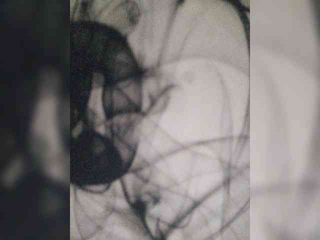 ZoeCamils webcam