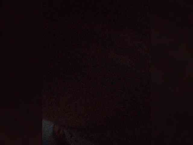 ZoeCamils webcam