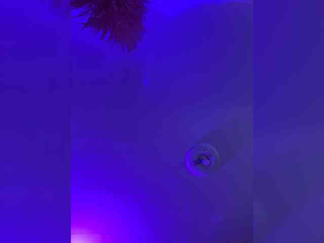ZoeCamils webcam