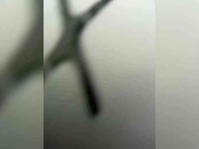 ZoeCamils ZoeCamils
