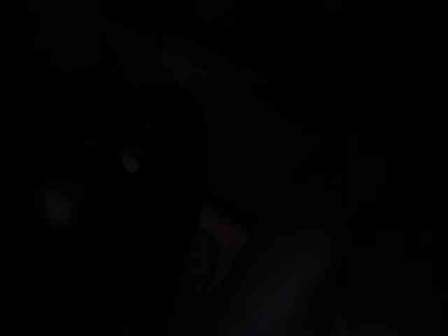 ZoeCamils webcam