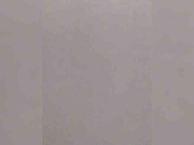 ZoeCamils webcam