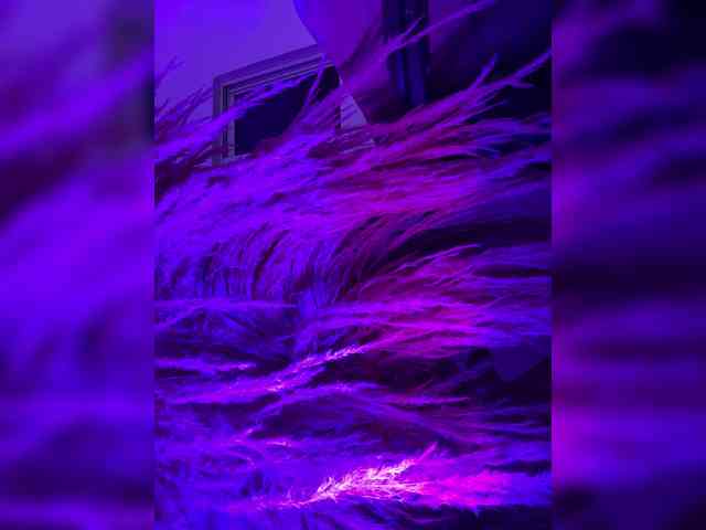 ZoeCamils webcam