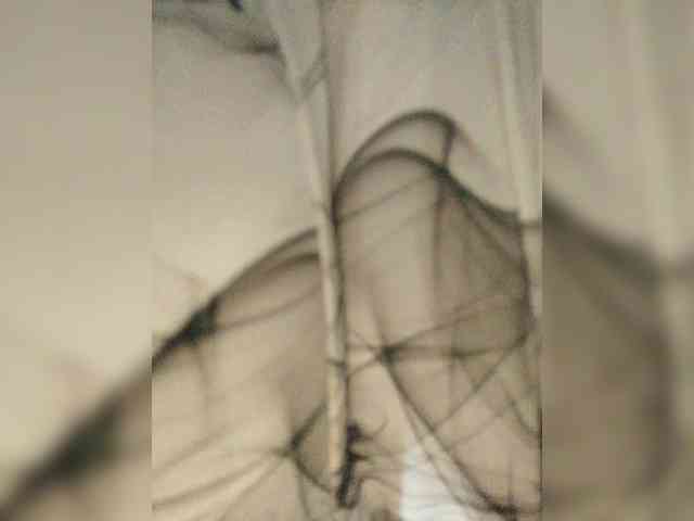 ZoeCamils webcam