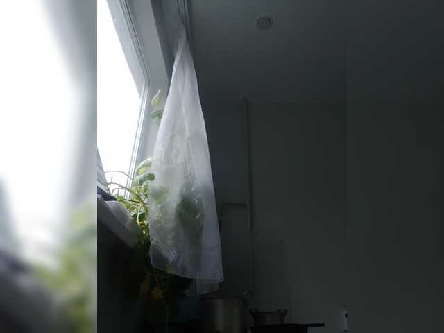 zvezda2511 live cam on BongaCams