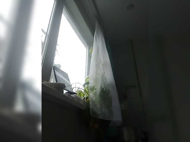 zvezda2511 live cam on BongaCams