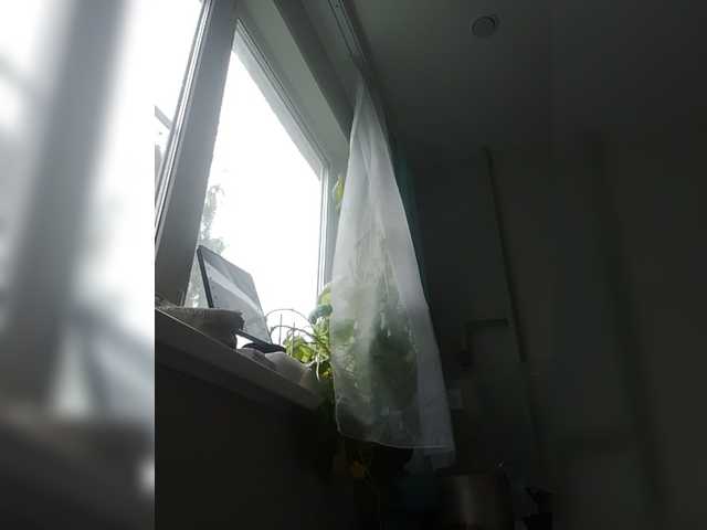 zvezda2511 live cam on BongaCams