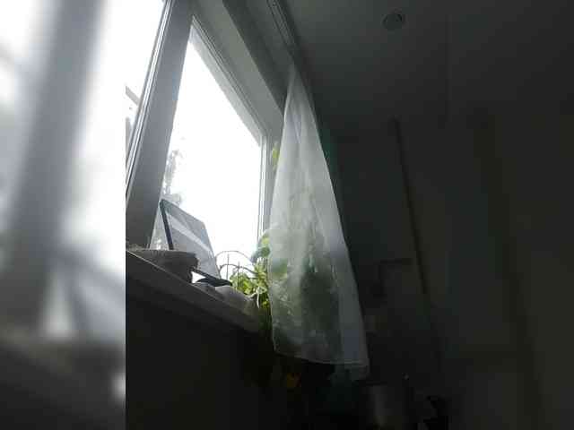 zvezda2511 webcam