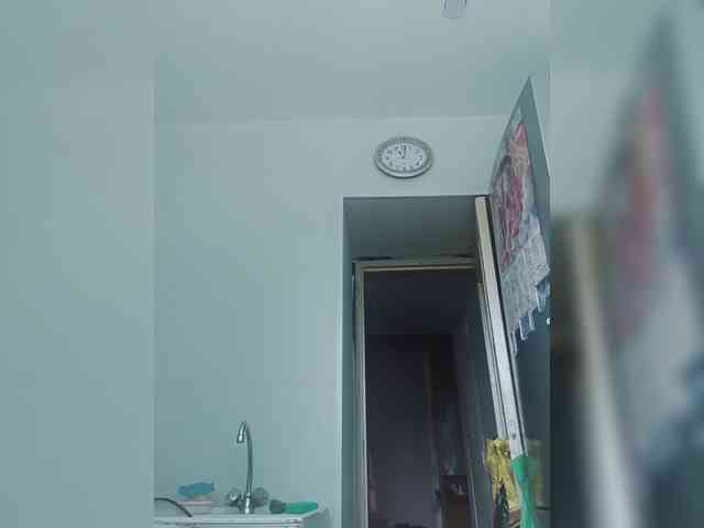 zvezda2511 webcam