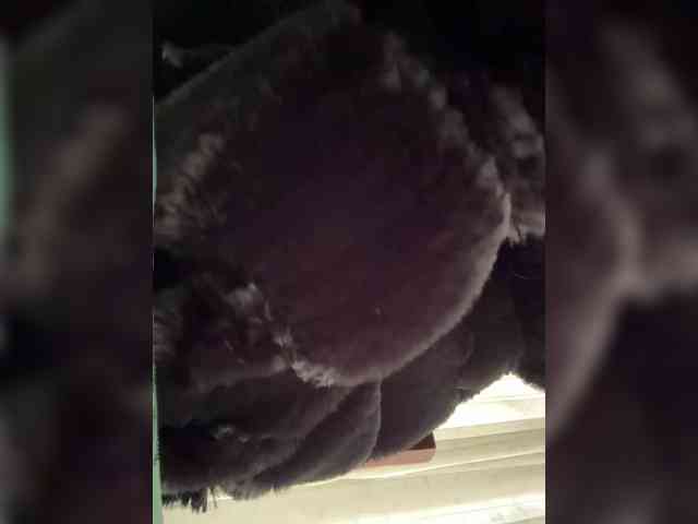 LucyRouse webcam