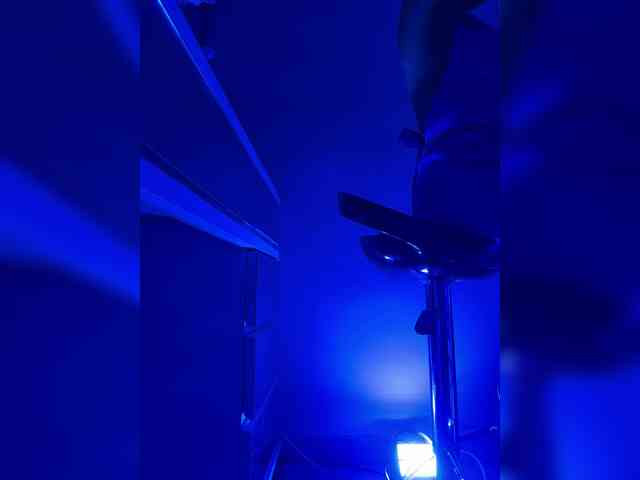 LucyRouse webcam