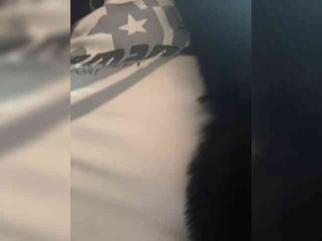 LucyRouse webcam