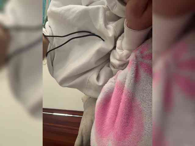 lucygirl- lucygirl-