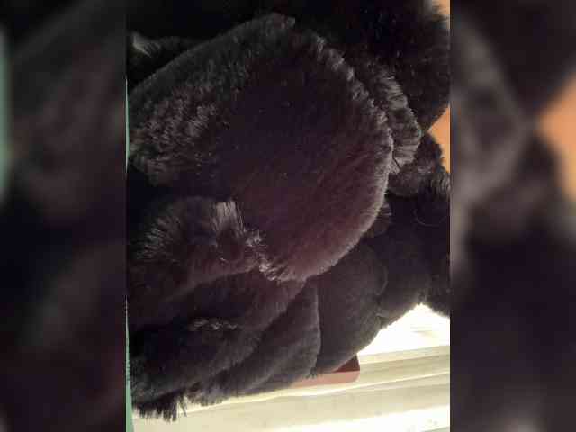 LucyRouse webcam