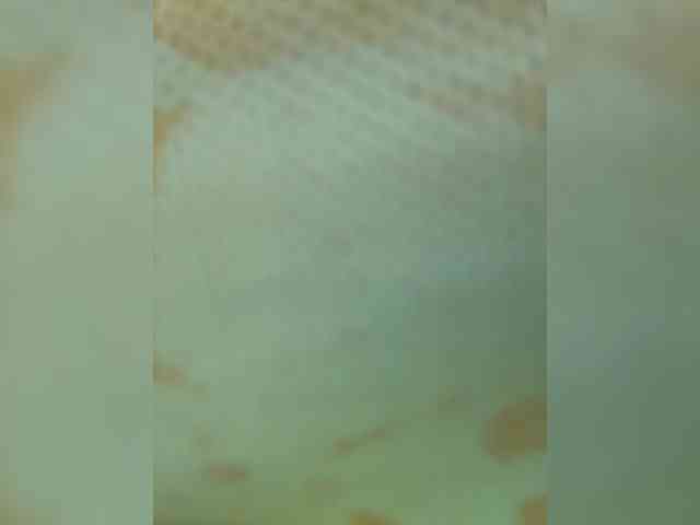 LucyRouse webcam