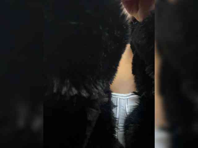 LucyRouse webcam