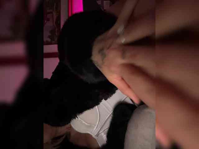 lucygirl- lucygirl-