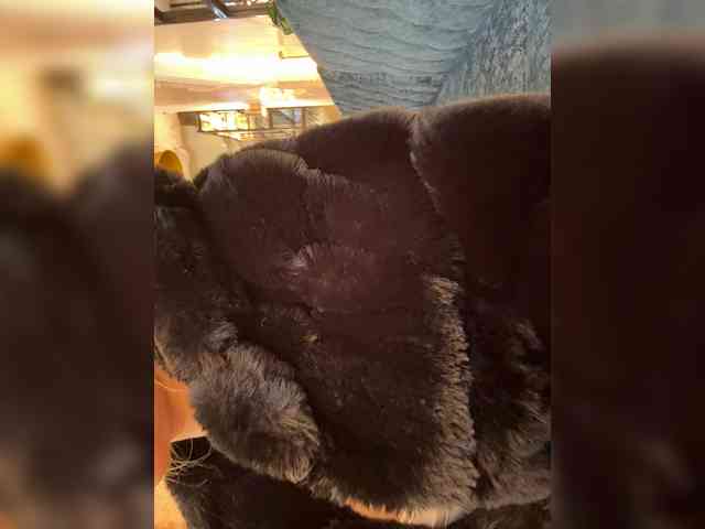LucyRouse webcam