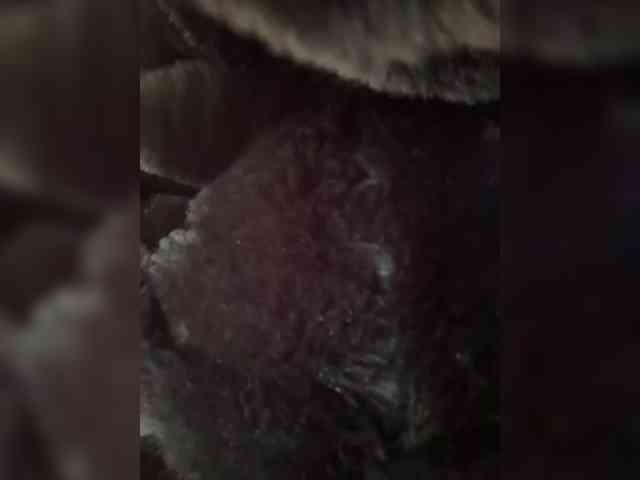 LucyRouse webcam