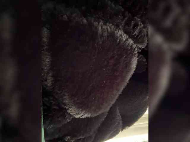 LucyRouse webcam