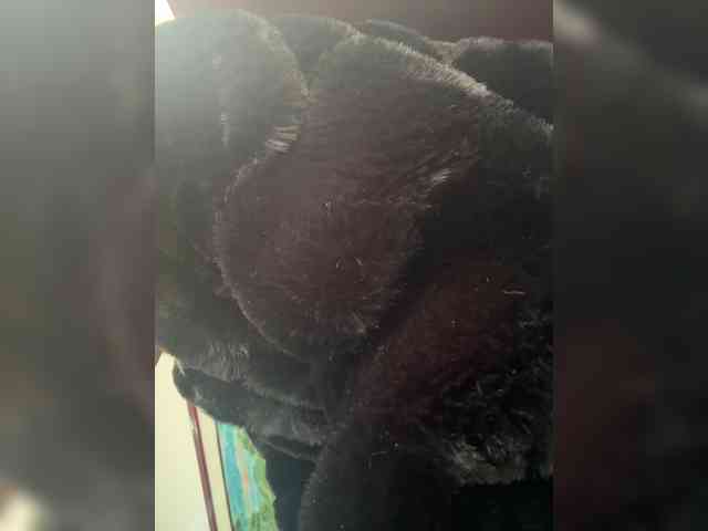 LucyRouse webcam