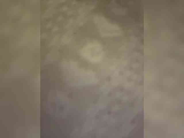 LucyRouse webcam