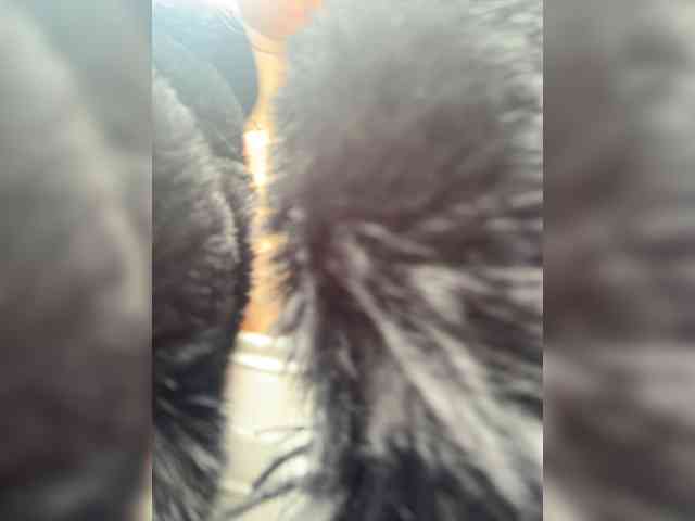 Modelo: LucyRouse