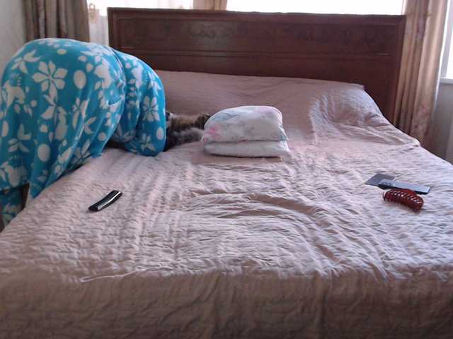 MonaMonako webcam