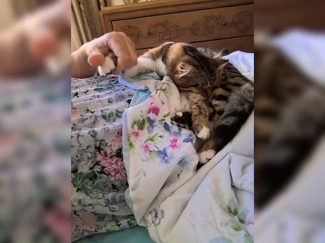 Marionaa