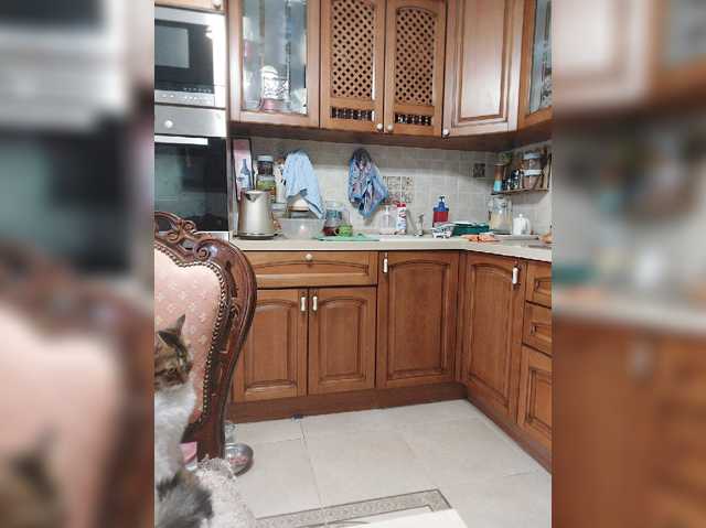 MonaMonako live cam preview