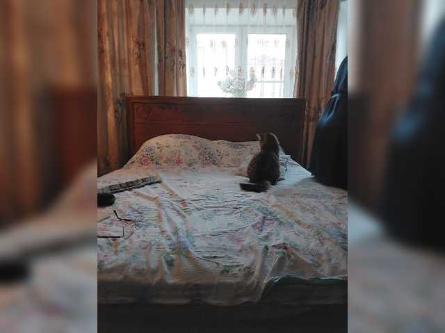 Marionaa, en directo ahora en BongaCams